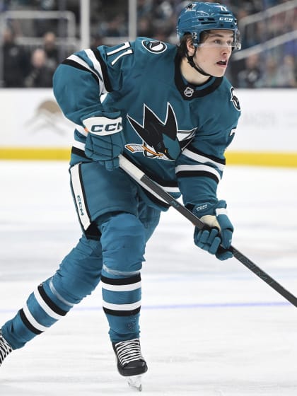 以及限制国 以及限制国