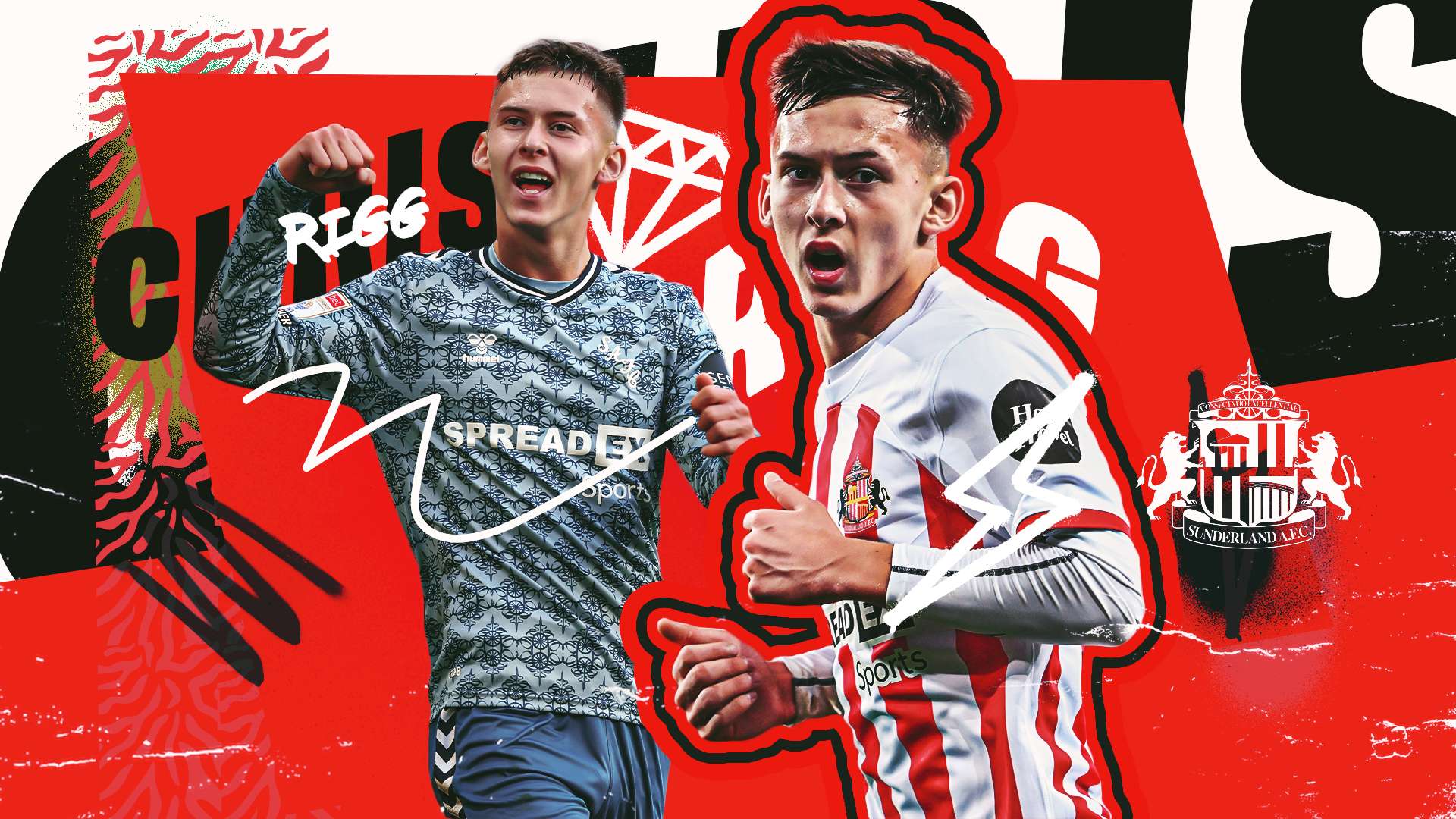 特别强调了 特别强调了